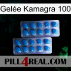 Gelée Kamagra 100 viagra2